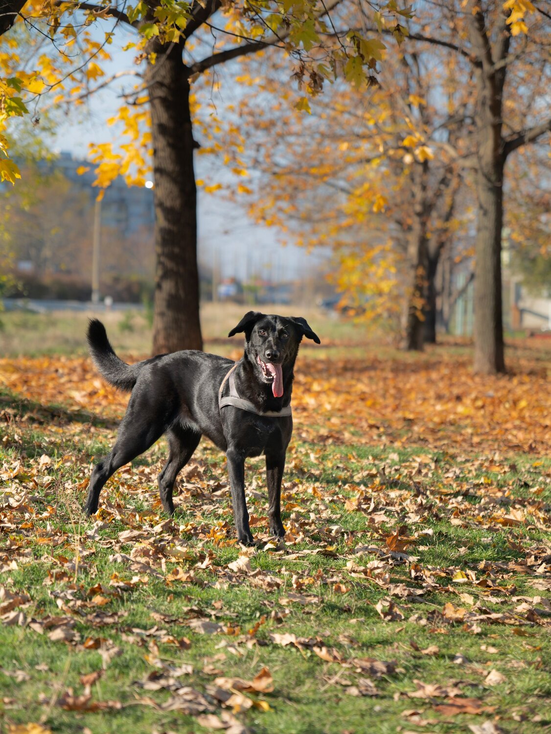 Photo #6164964