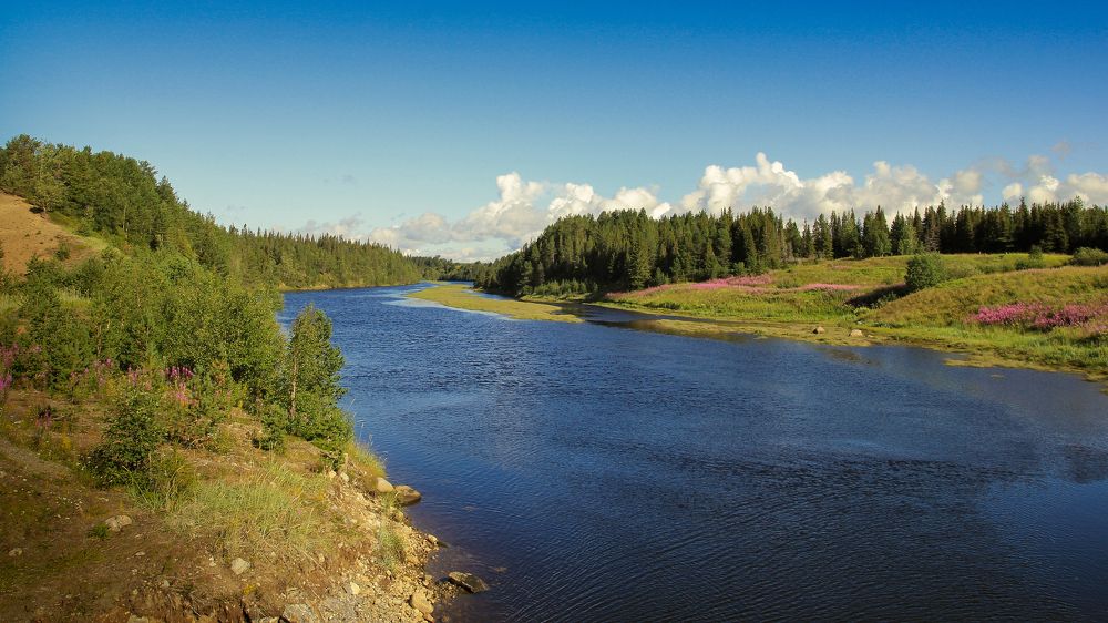 Photograph by Анастасия Бравичева