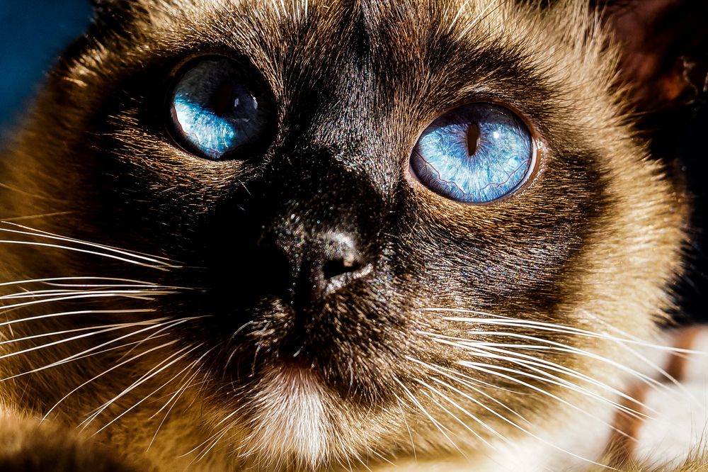 Photograph by Александр Казак