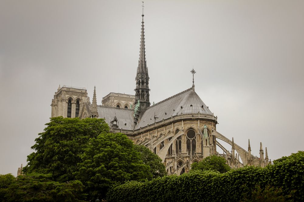 Photograph by Анастасия Бравичева