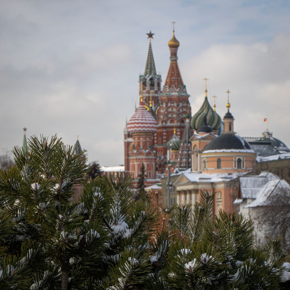 Photograph by Анастасия Бравичева