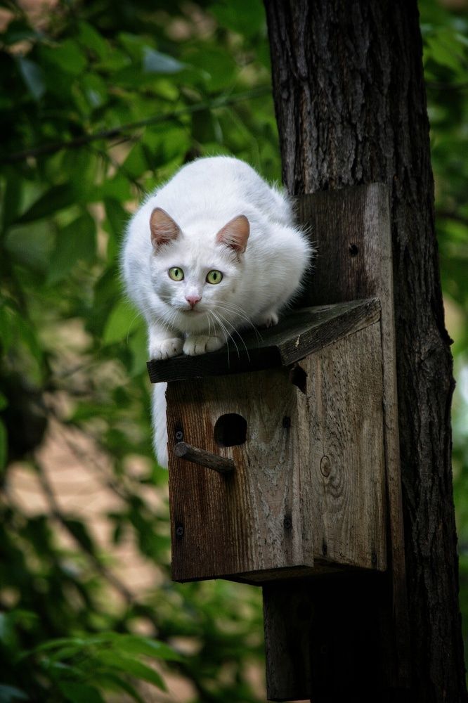 Photograph by Максим Ушенин