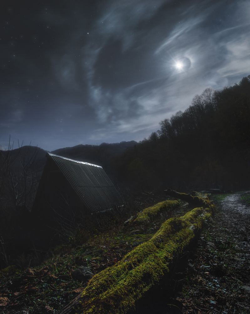 Фотография автора Алексей Чешко