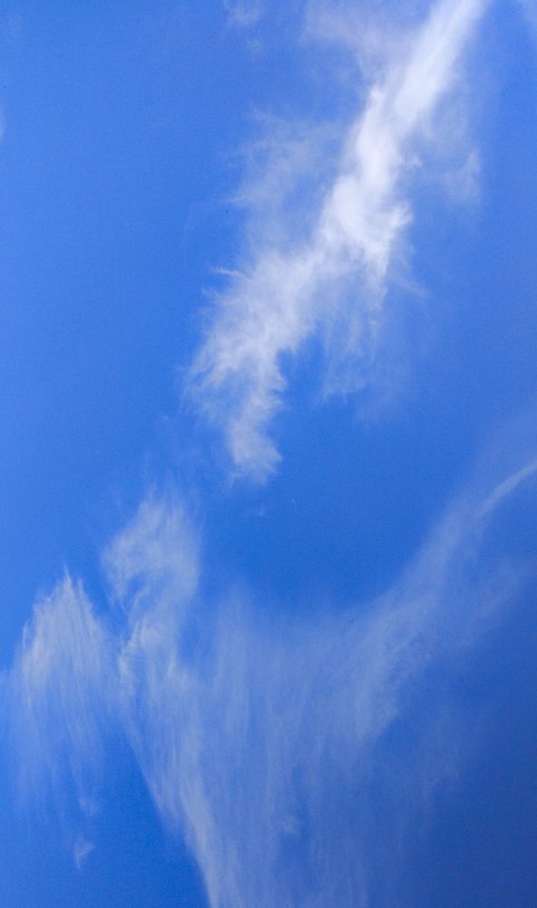 Photograph by Ирина Харлова