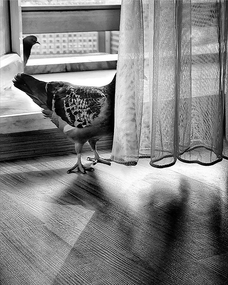 Photograph by Yasemin Atasoy