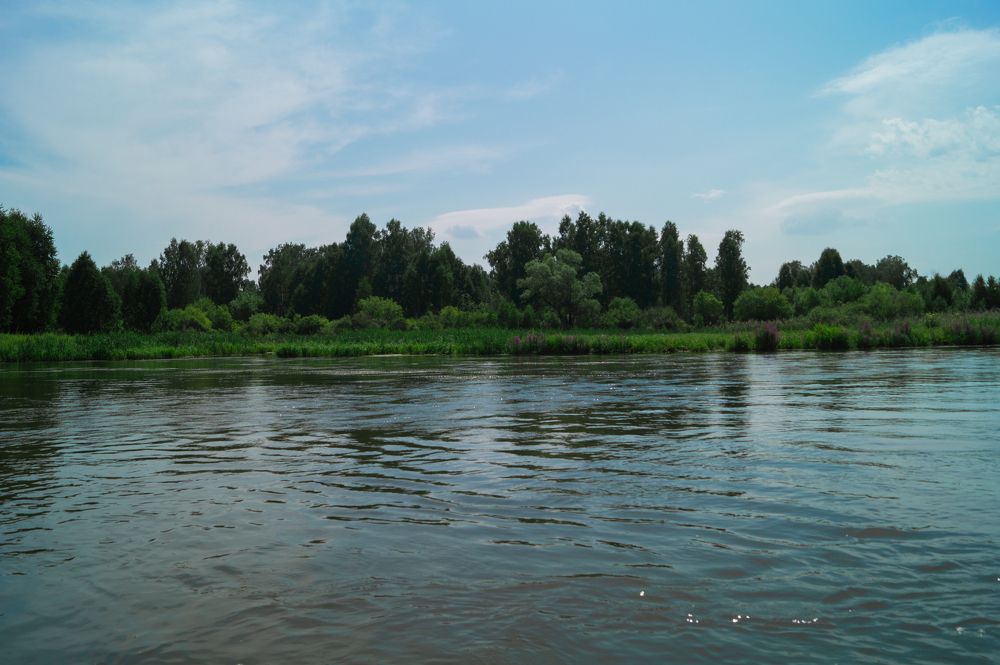 Photograph by Анастасия Пельменёва