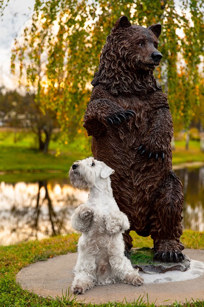 Photograph by Спесивцева Эльмира