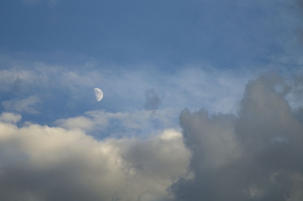 Photograph by Анастасия Пельменёва