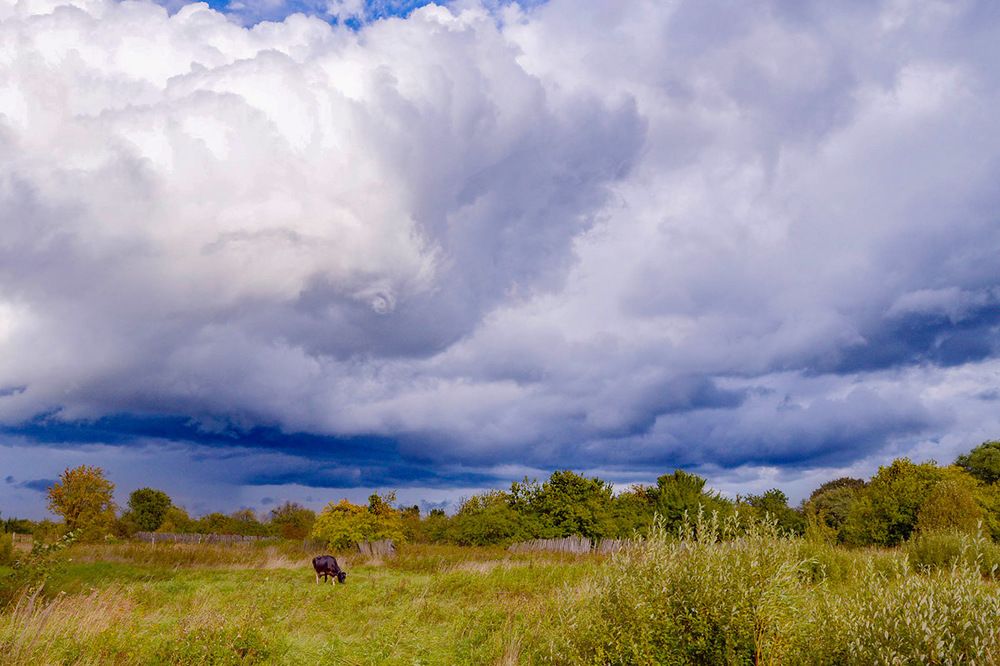 Мне сверху видно все...