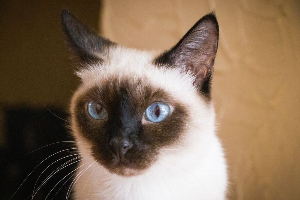 Photograph by Nikita Oshvintsev