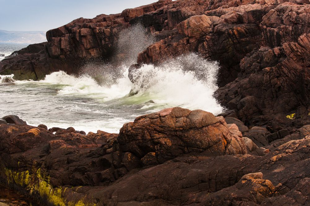 Photograph by Сергей Тютюнник