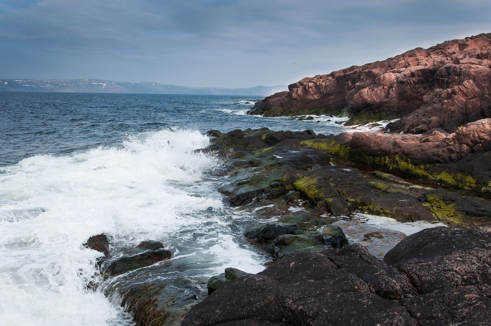 Photograph by Сергей Тютюнник