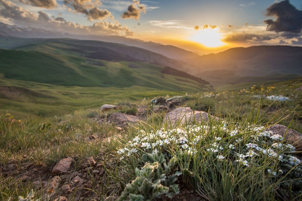 Photograph by Konstantin