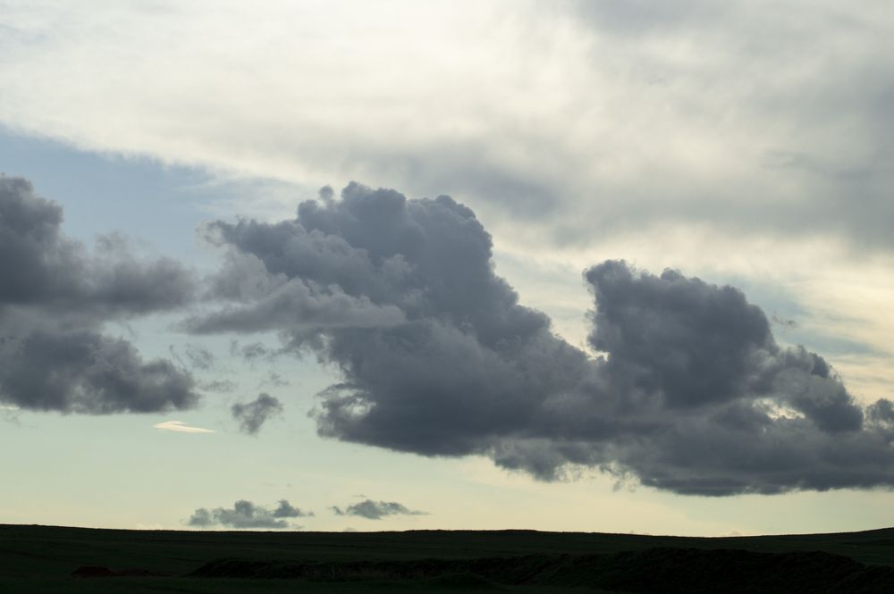 Photograph by Анастасия Пельменёва