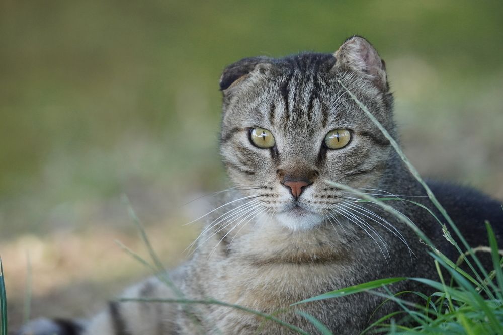 Photograph by Tamir Mor