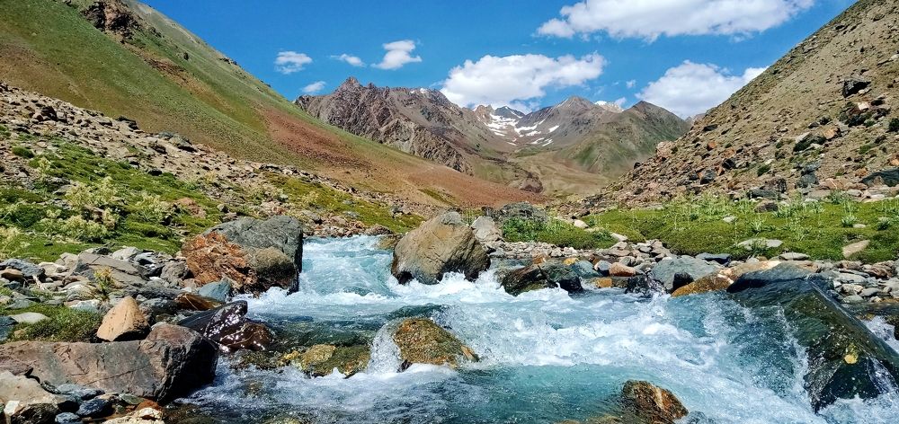 Photograph by MOHAMMAD ASHFAQ