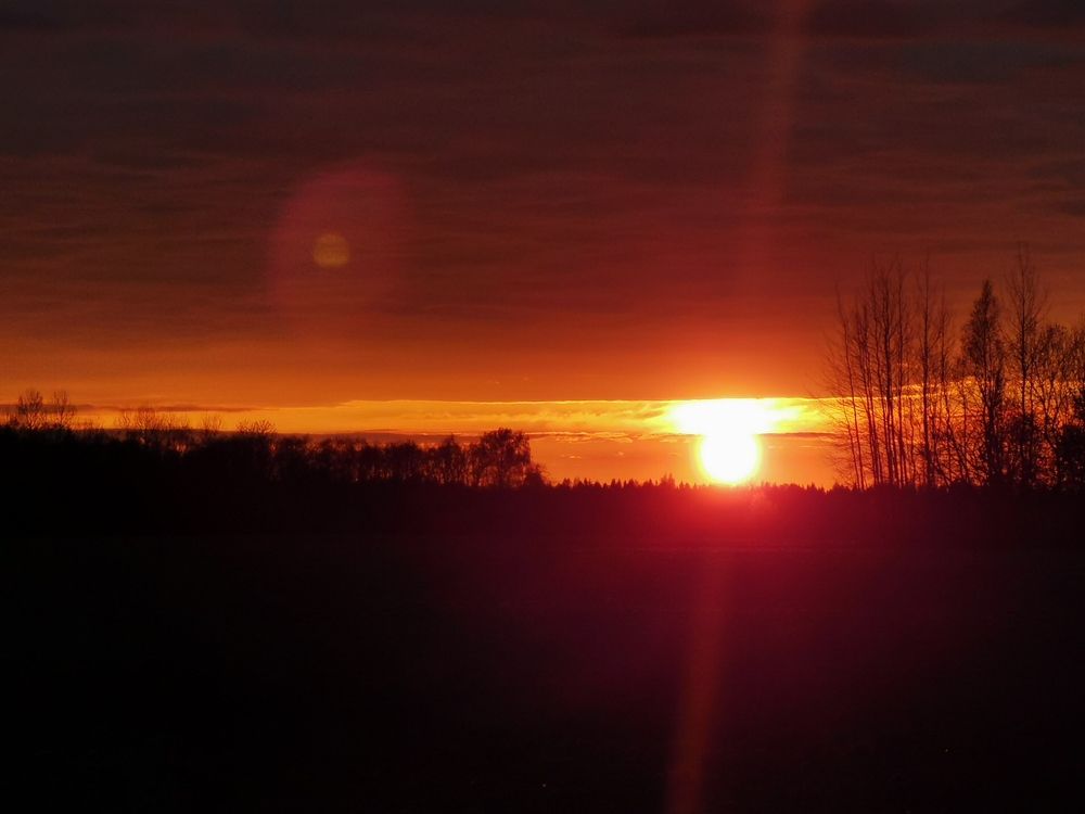 Photograph by Сергей Долгий