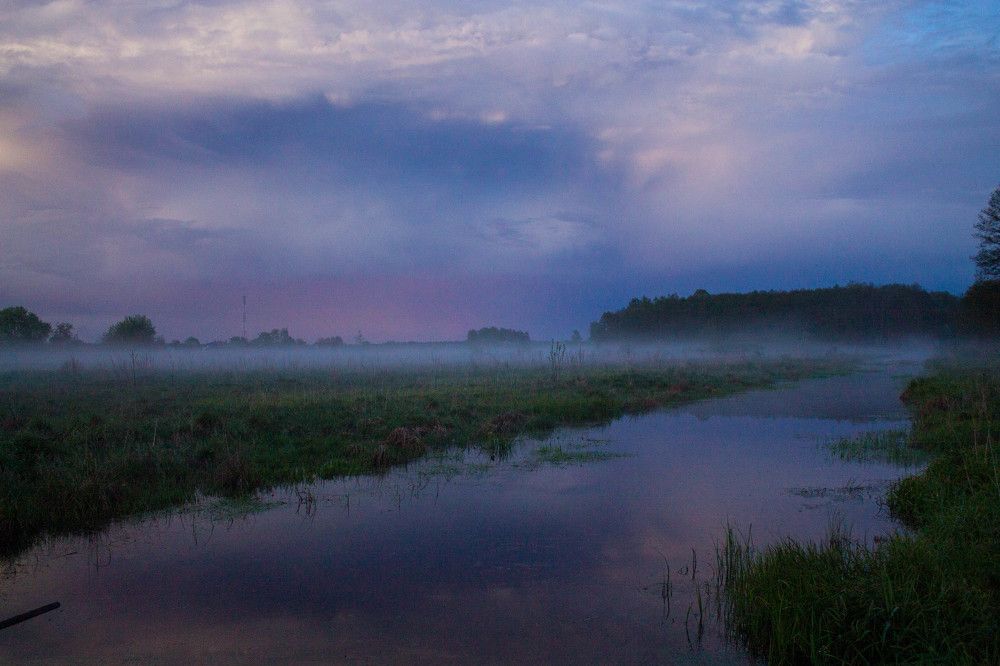 Туман над рекой
