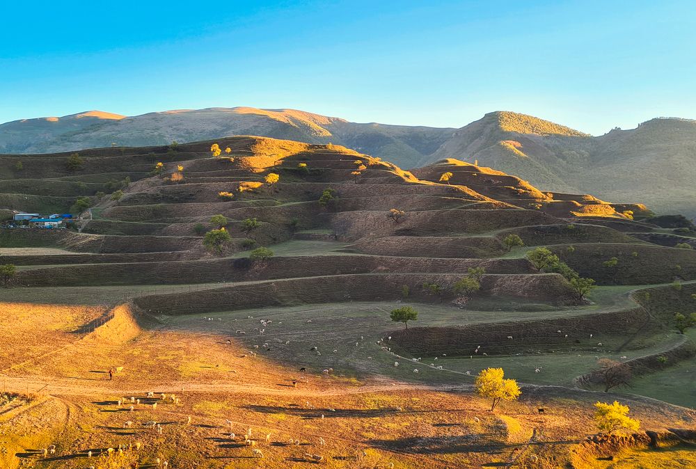 Photograph by Юлия Борт