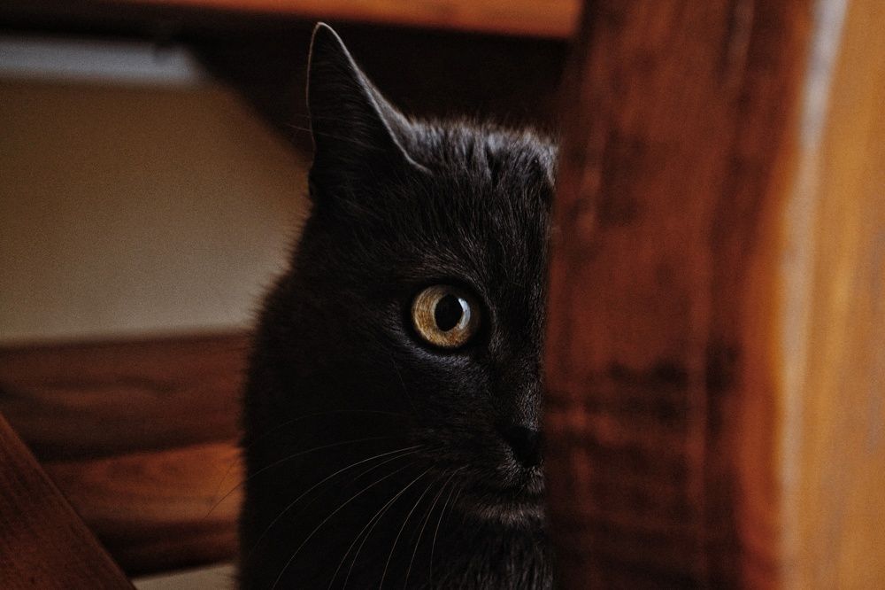 Photograph by Дарья Маркина