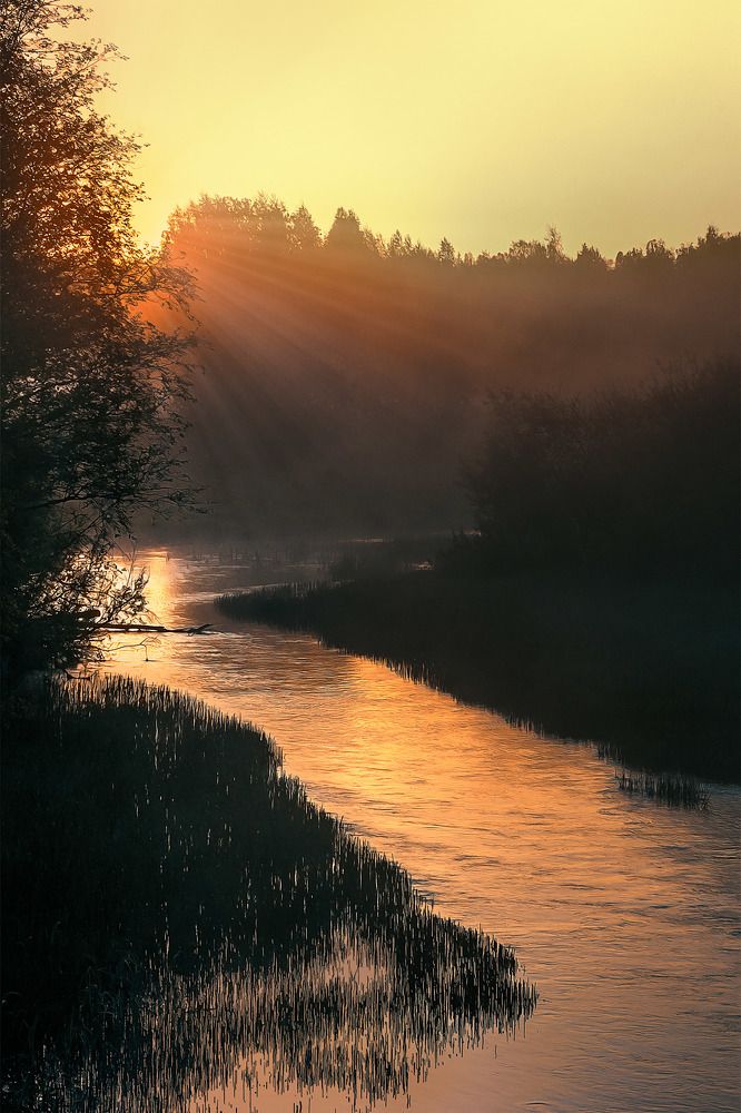 Photograph by Oleg Gavrilov