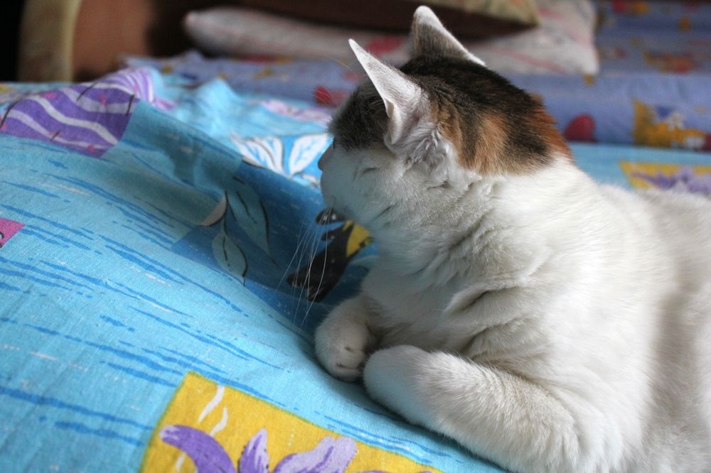 Photograph by Olga Bagaeva