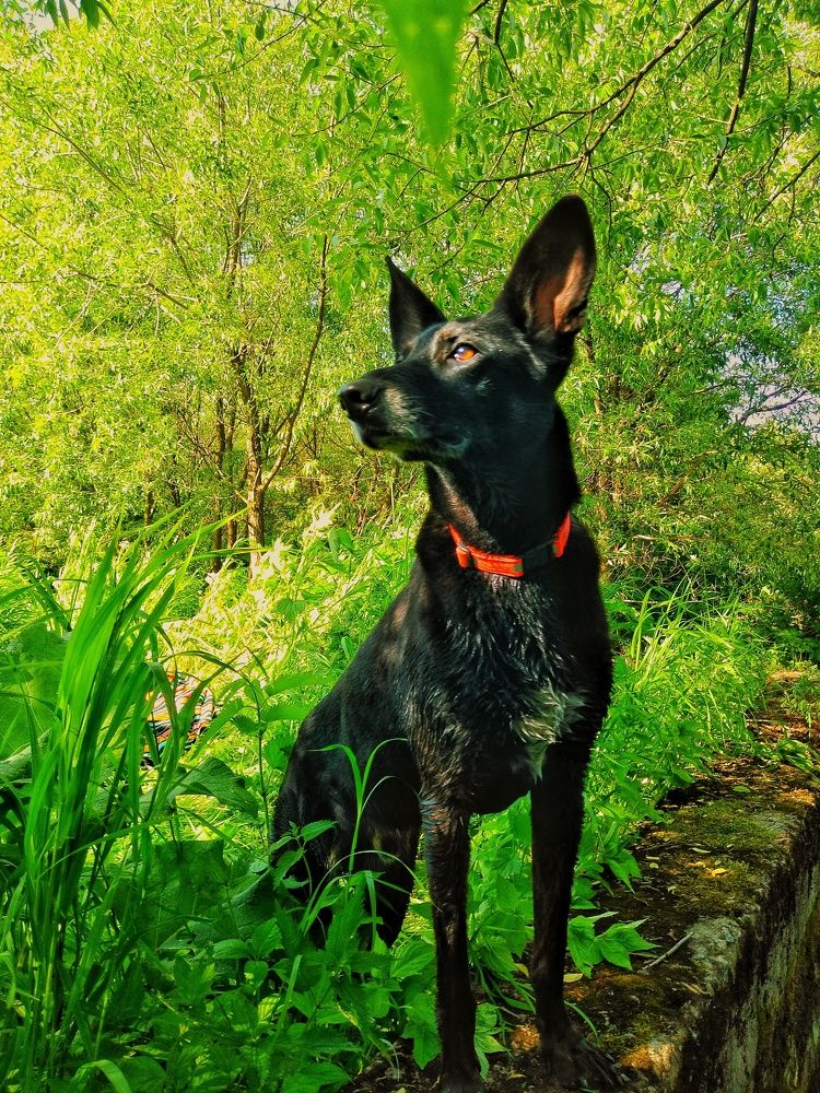 Photograph by Павел Антохин