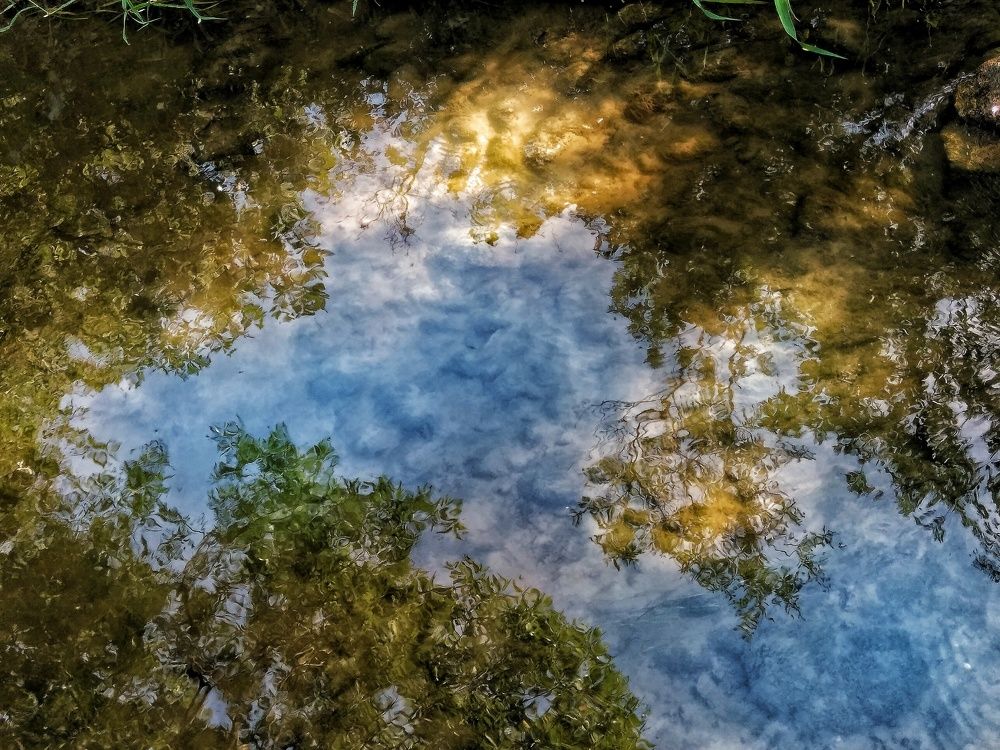 Photograph by Павел Антохин