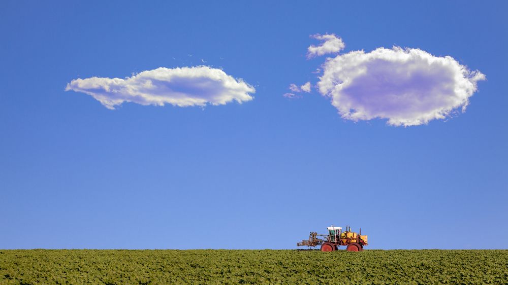 Photograph by dan andrei