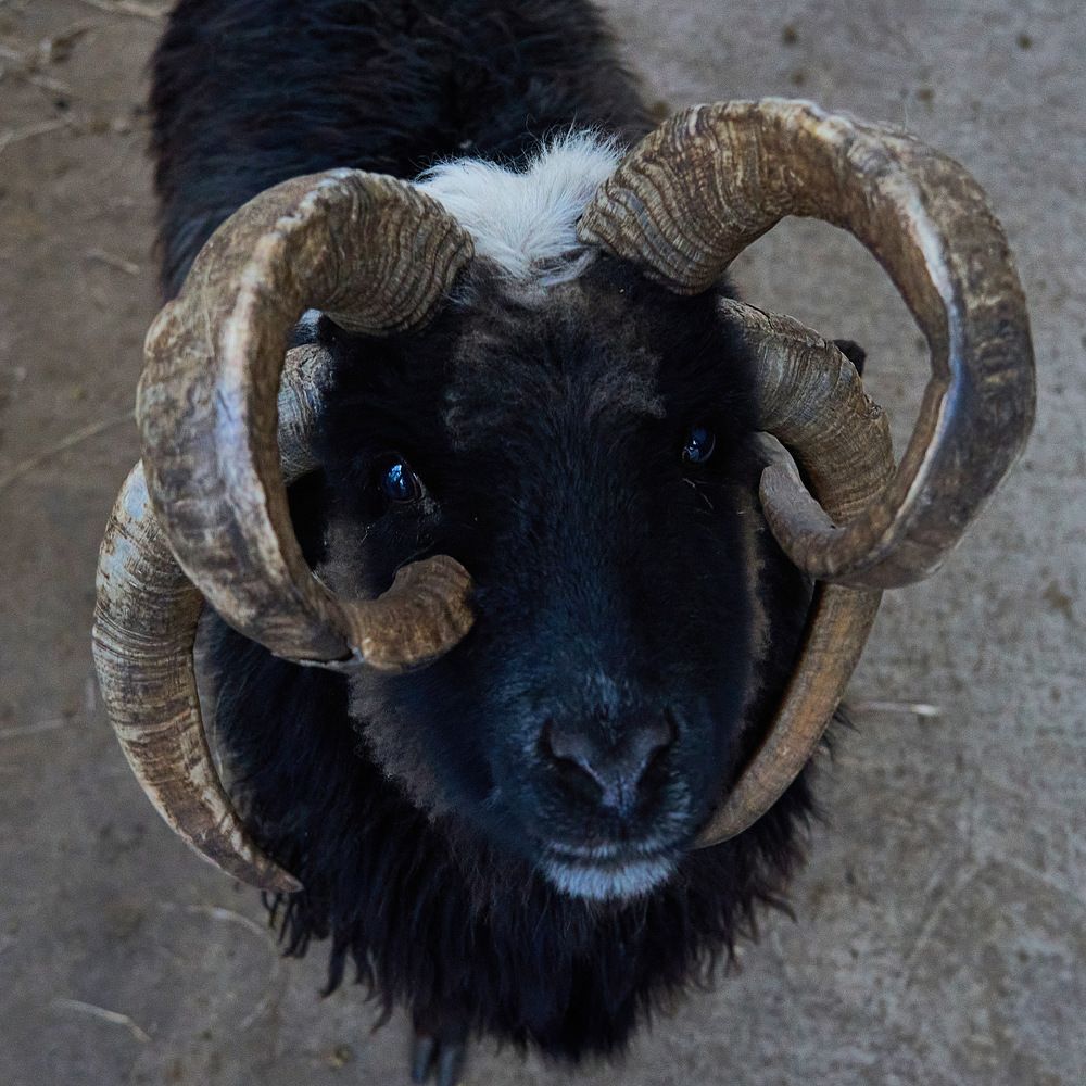 Photograph by Yuliya Khramova