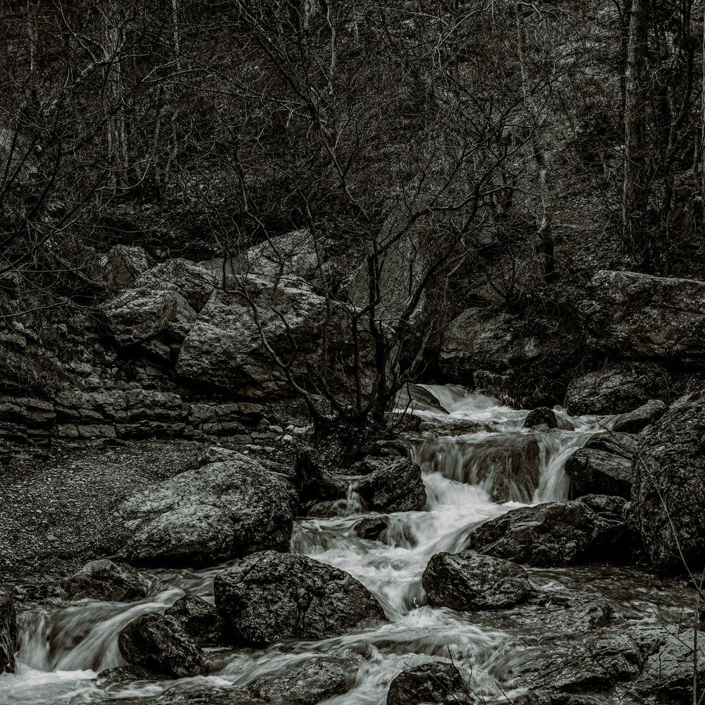 Photograph by Ольга Воронова