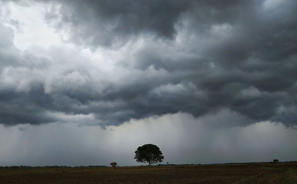 Photograph by Nusky Ahamed Rafeek