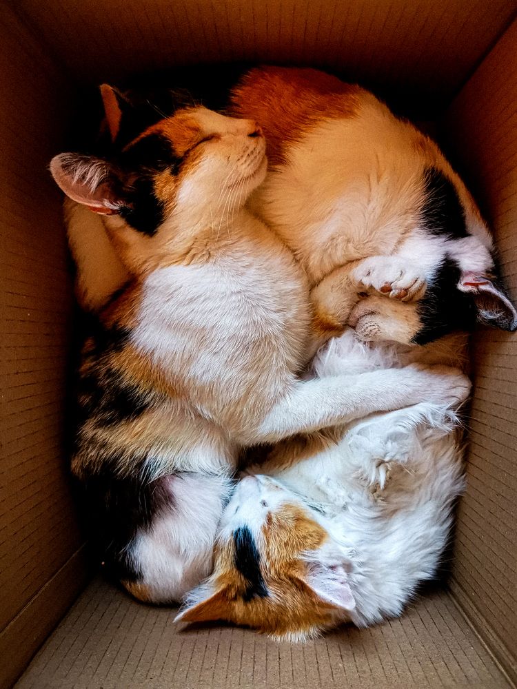 Photograph by Светлана Перминова