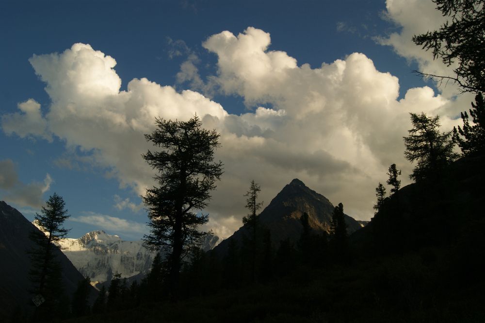 Photograph by Юлия Лазебная