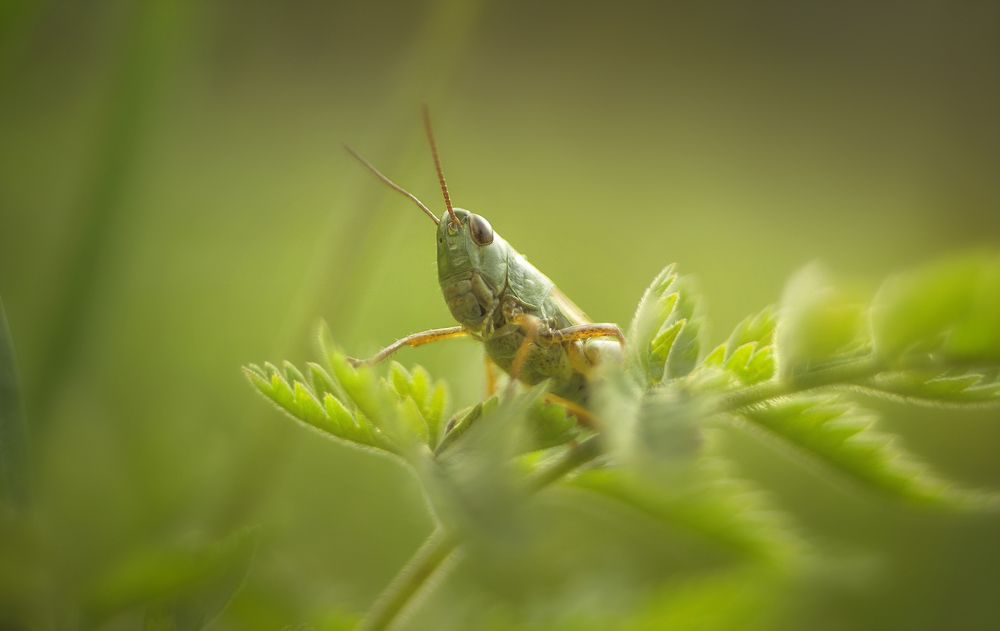 Photograph by Petya Lazarova