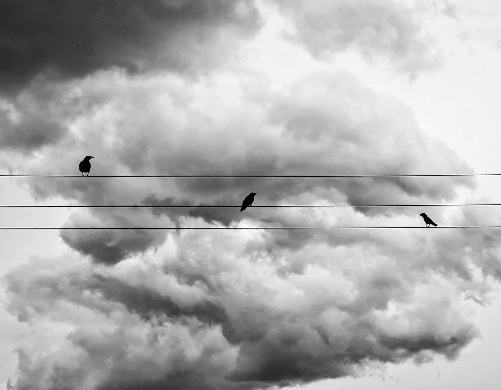 Photograph by Mohamadreza Jalilzadeh