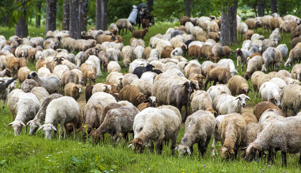 Photograph by Alex Kalpus