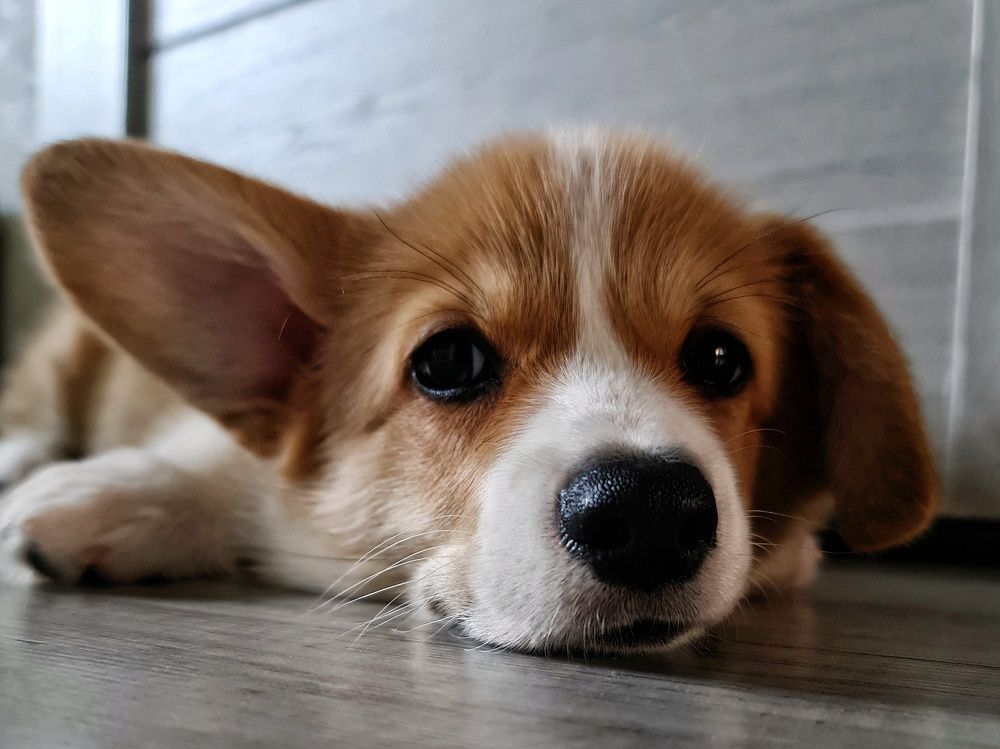 Photograph by Светлана Смирнова