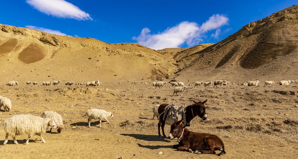 Photograph by Alex Kalpus