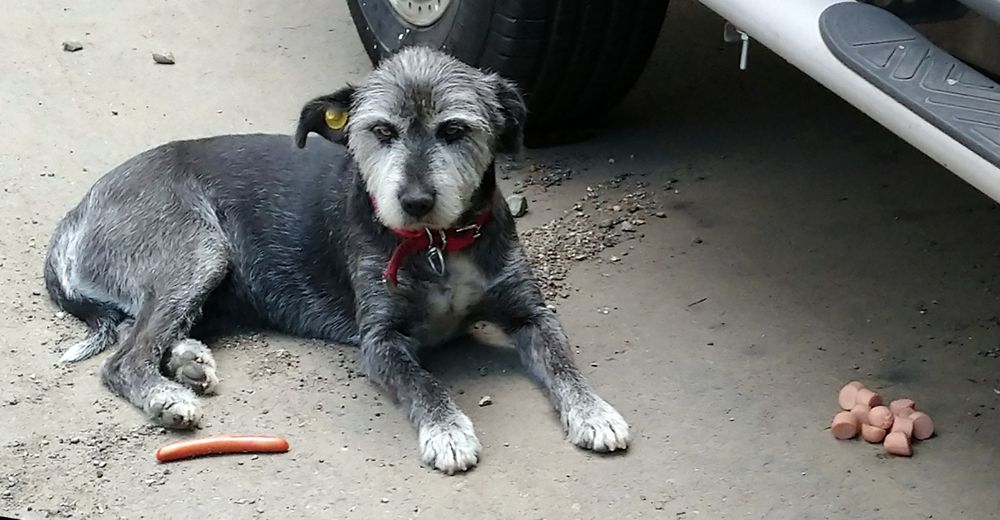 Photograph by Alex Kalpus