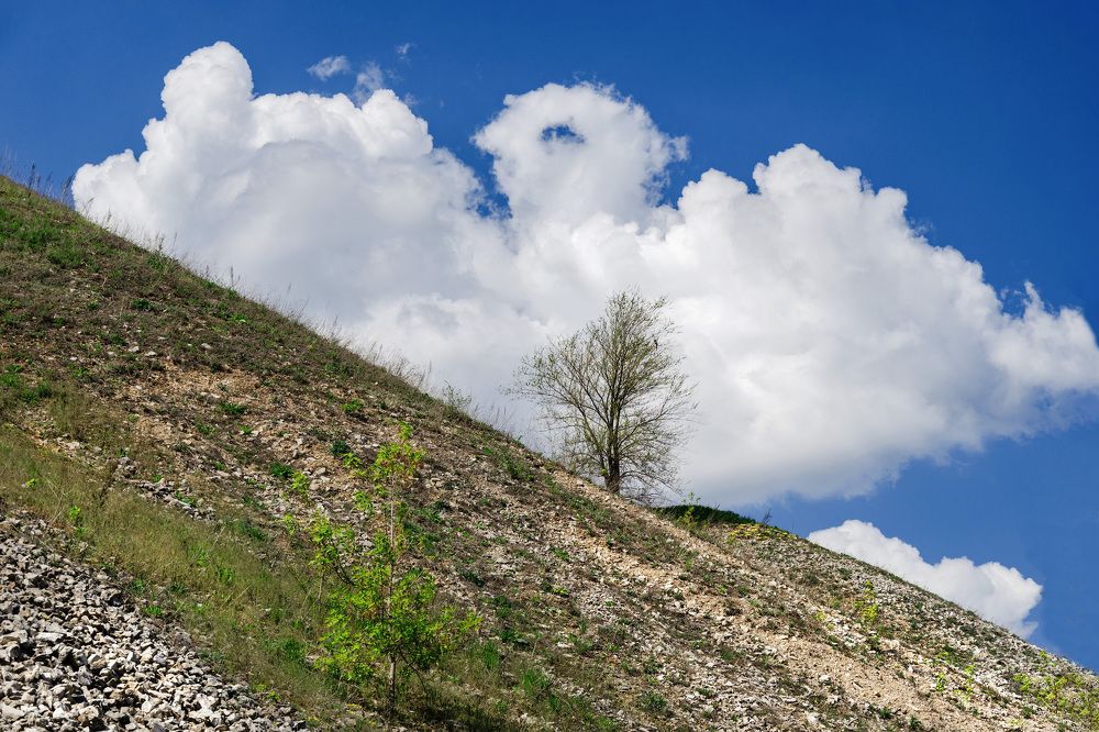 Photograph by Ирина Корпачева