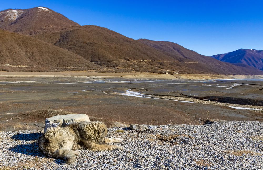 Photograph by Alex Kalpus