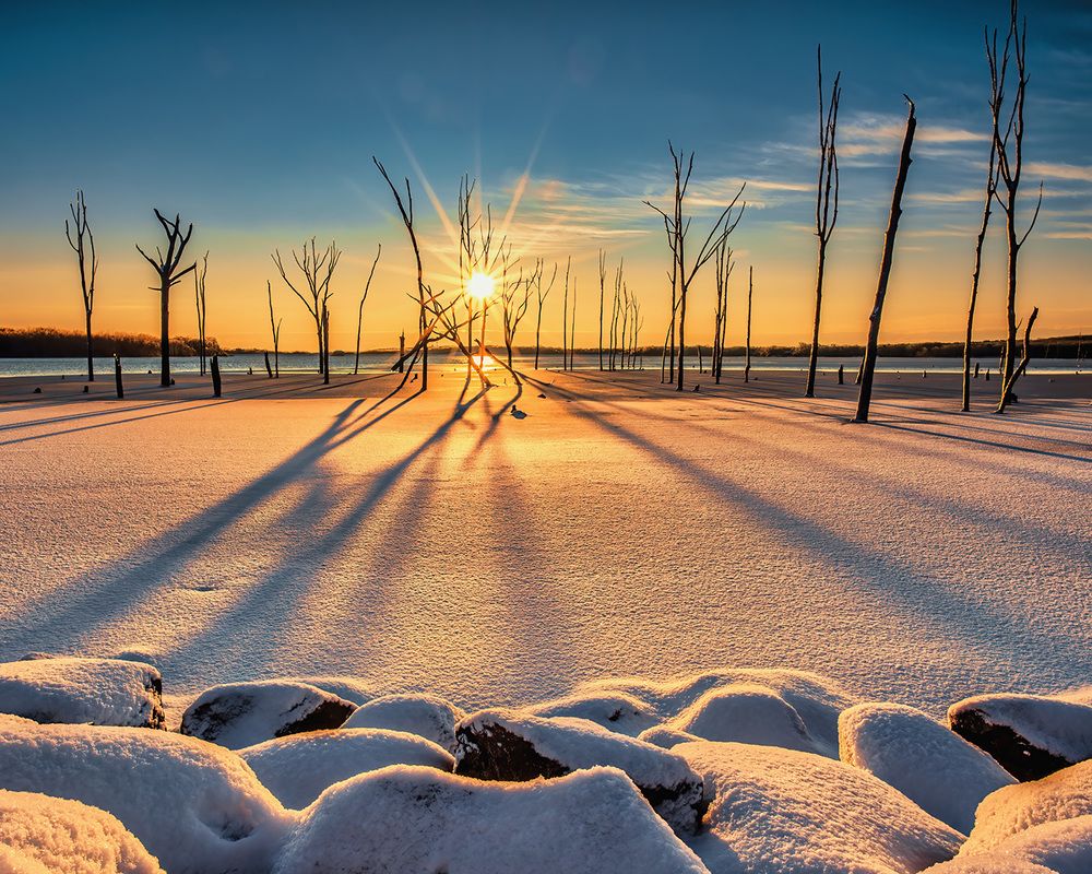 Photograph by Sri Reddy