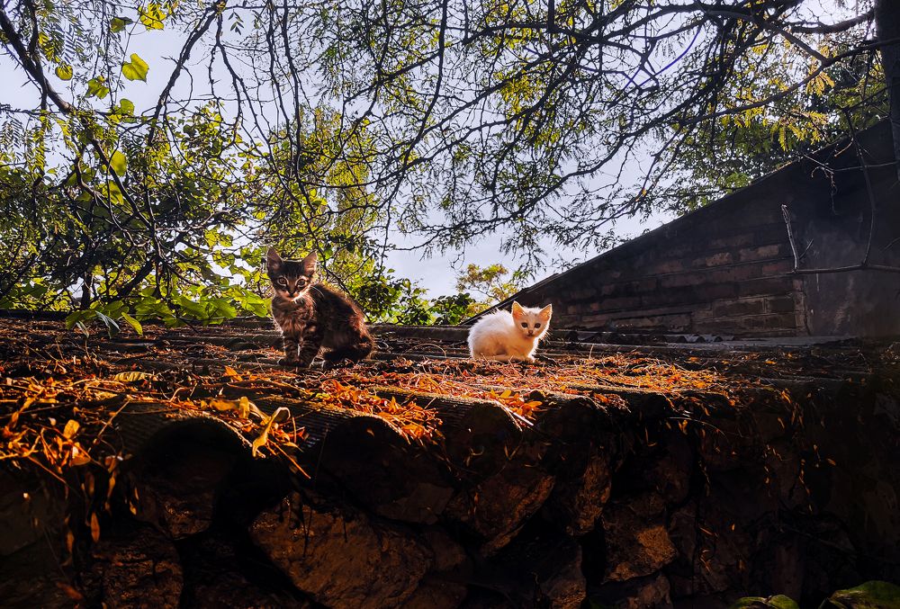 Photograph by Светлана Перминова