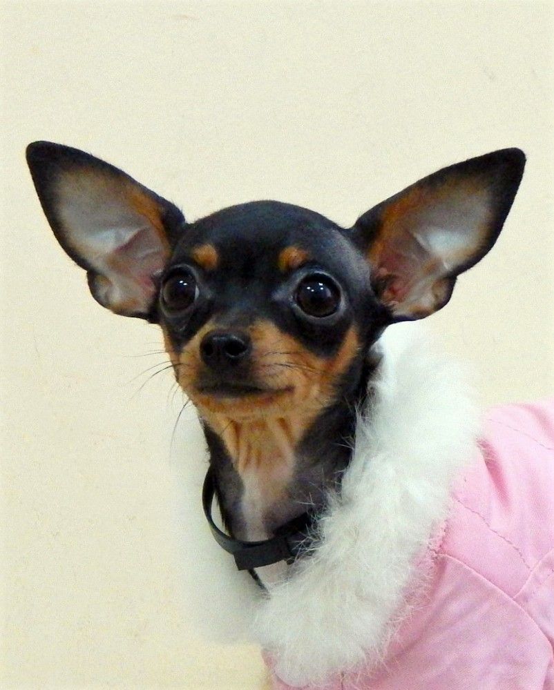 Photograph by Ирина Самойленко