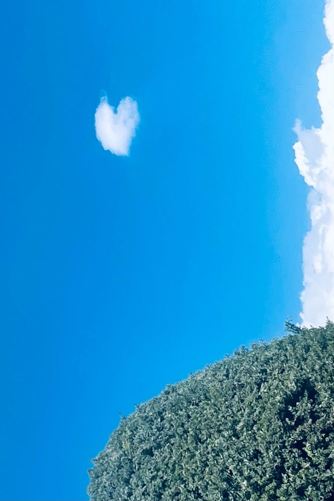 Photograph by samaneh jamali