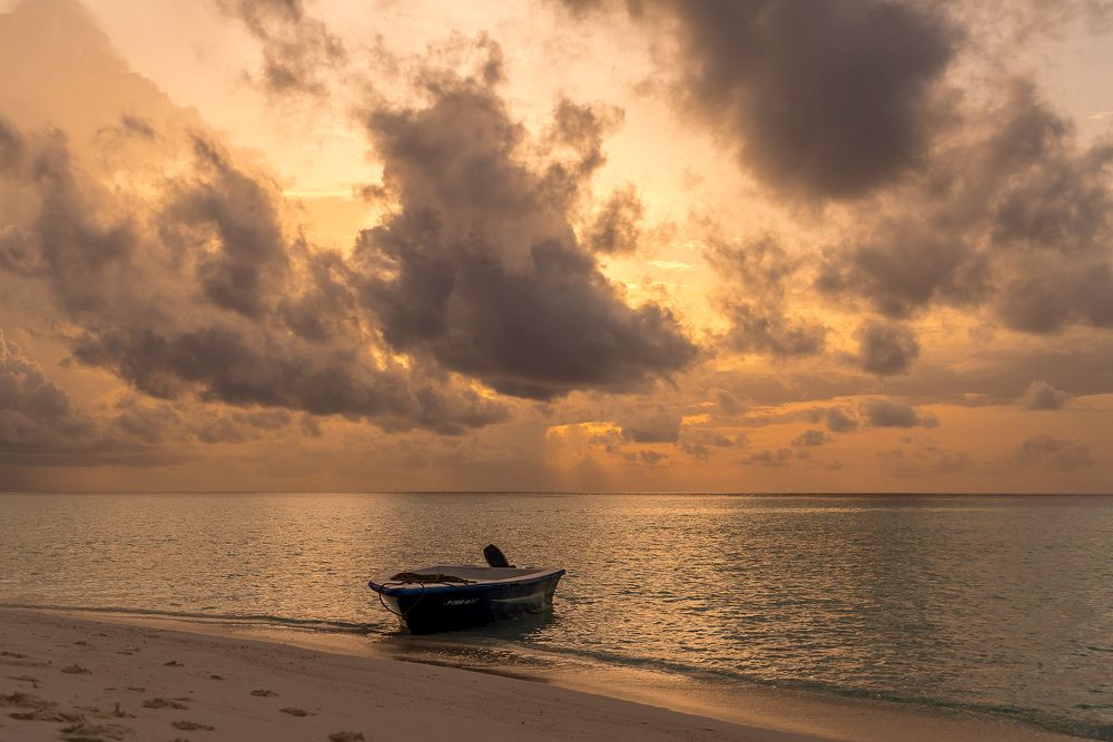 Photograph by 