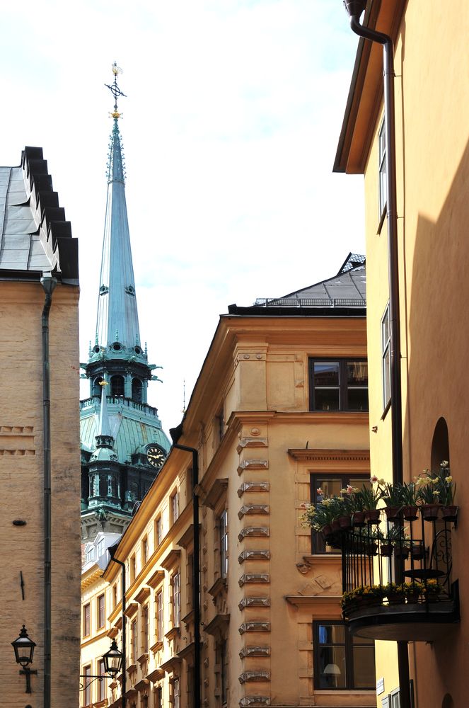 Photograph by Svetlana Jegorova