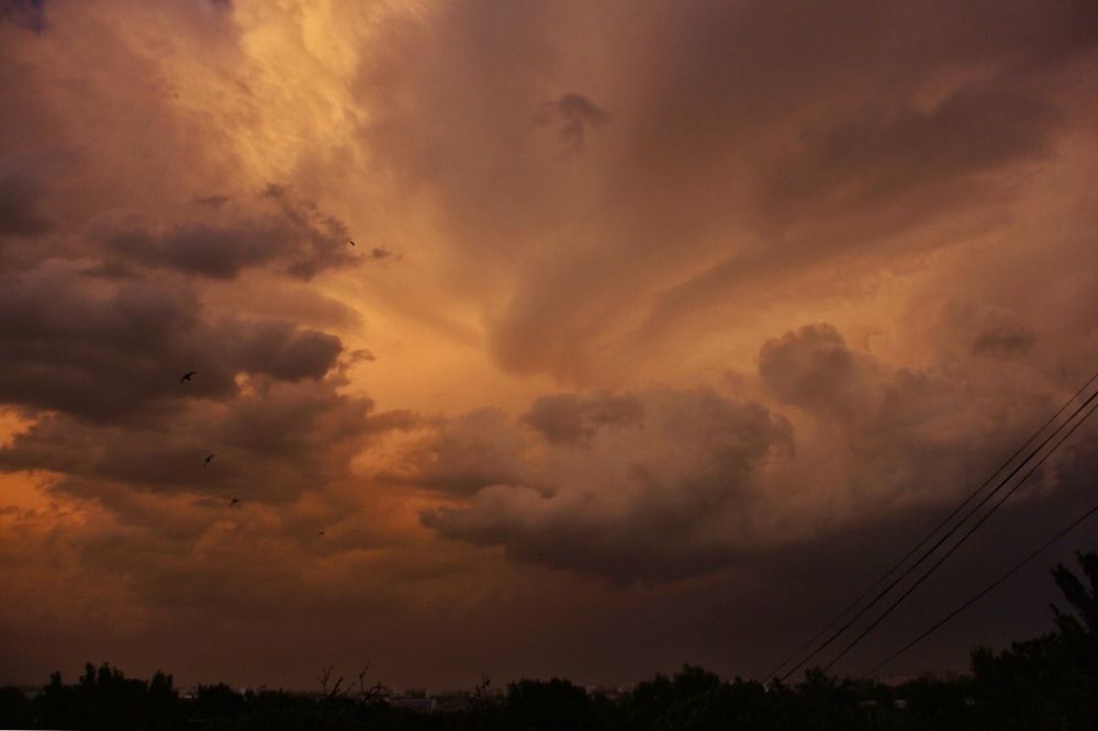 Photograph by Юлия Голубкова