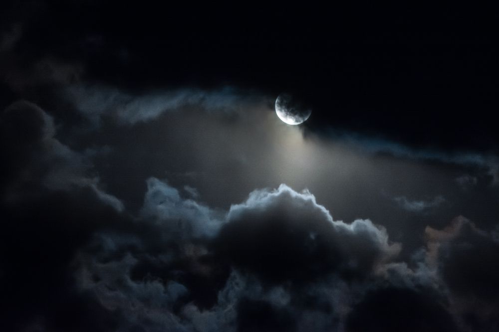 Photograph by Жданов Дмитрий